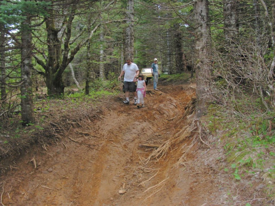 Yellow vehicle parked on a muddy forest trail while a man and child walk down the rutted track