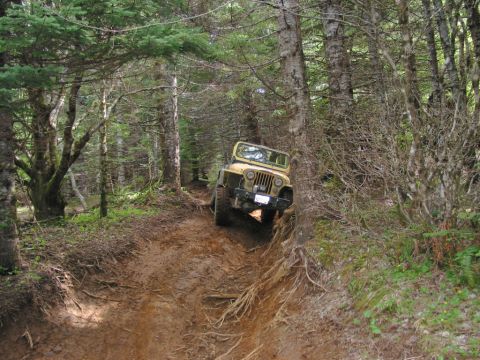 1995 Jeep Wrangler “the gutless wonder”
