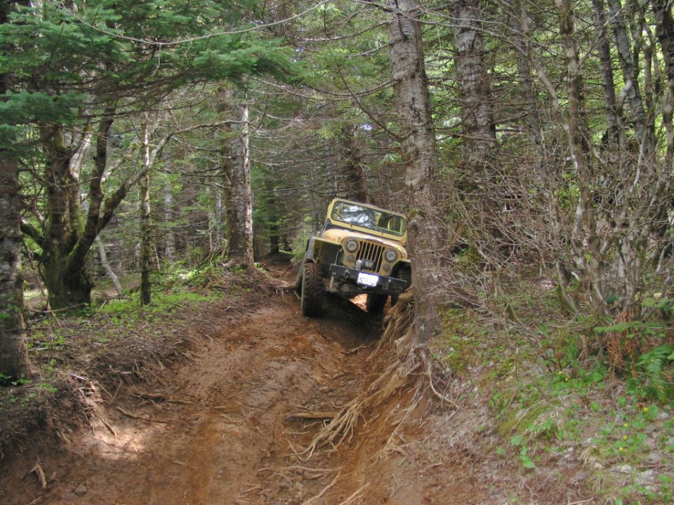 Yellow open-top Jeep climbing a rutted dirt trail through a dense forest, viewed head-on.