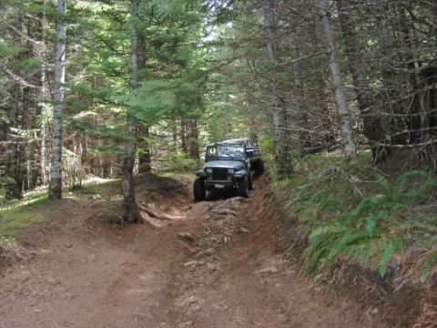 1995 Jeep Wrangler “the gutless wonder”