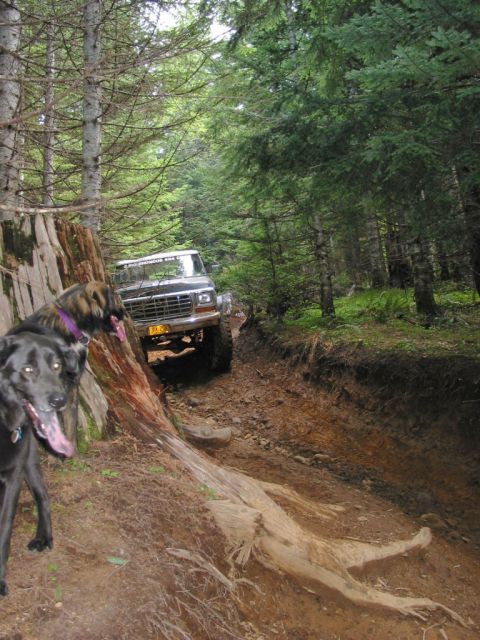 1995 Jeep Wrangler “the gutless wonder”