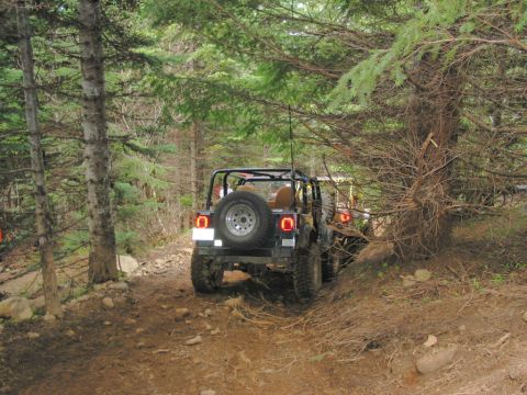 1995 Jeep Wrangler “the gutless wonder”