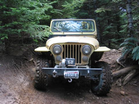 1995 Jeep Wrangler “the gutless wonder”