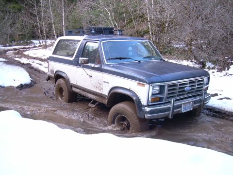 1984 Ford Bronco photo