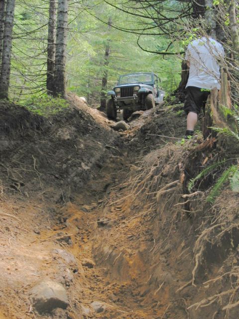 1995 Jeep Wrangler “the gutless wonder”