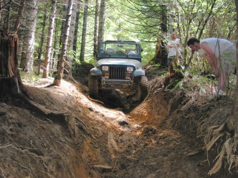 1995 Jeep Wrangler “the gutless wonder”