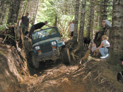 1995 Jeep Wrangler “the gutless wonder”