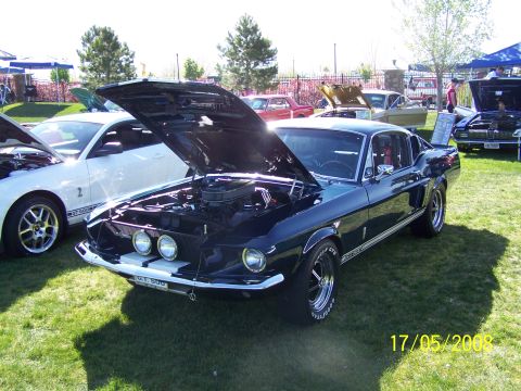 1973 Ford Mustang - A classic Shelby GT500 is displayed with its hood open at an outdoor car show.