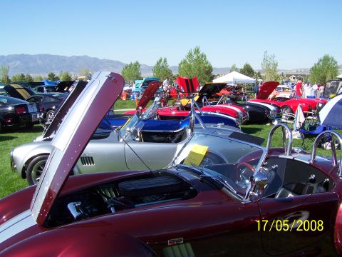 1973 Ford Mustang - Several Shelby Cobras are on display at an outdoor car show, with hoods open to reveal their engines.