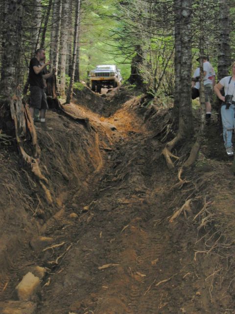 1995 Jeep Wrangler “the gutless wonder”