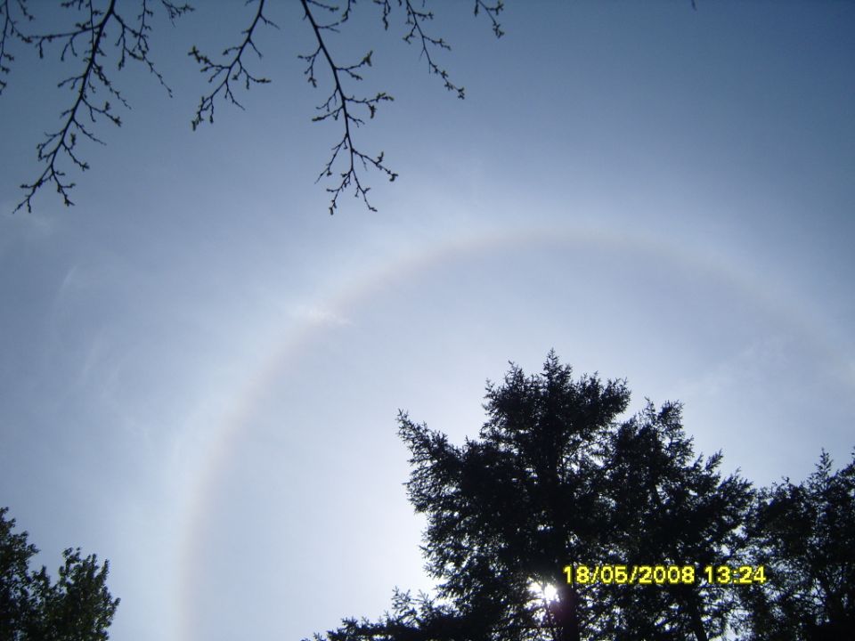 Sun halo in the sky over trees with a date stamp.