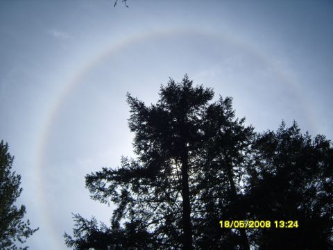 1989 Ford Bronco - A sun halo is visible in the sky above silhouetted trees. The date and time stamp "18/05/2008 13:24" is visible in the lower right corner.