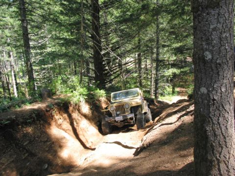 1995 Jeep Wrangler “the gutless wonder”