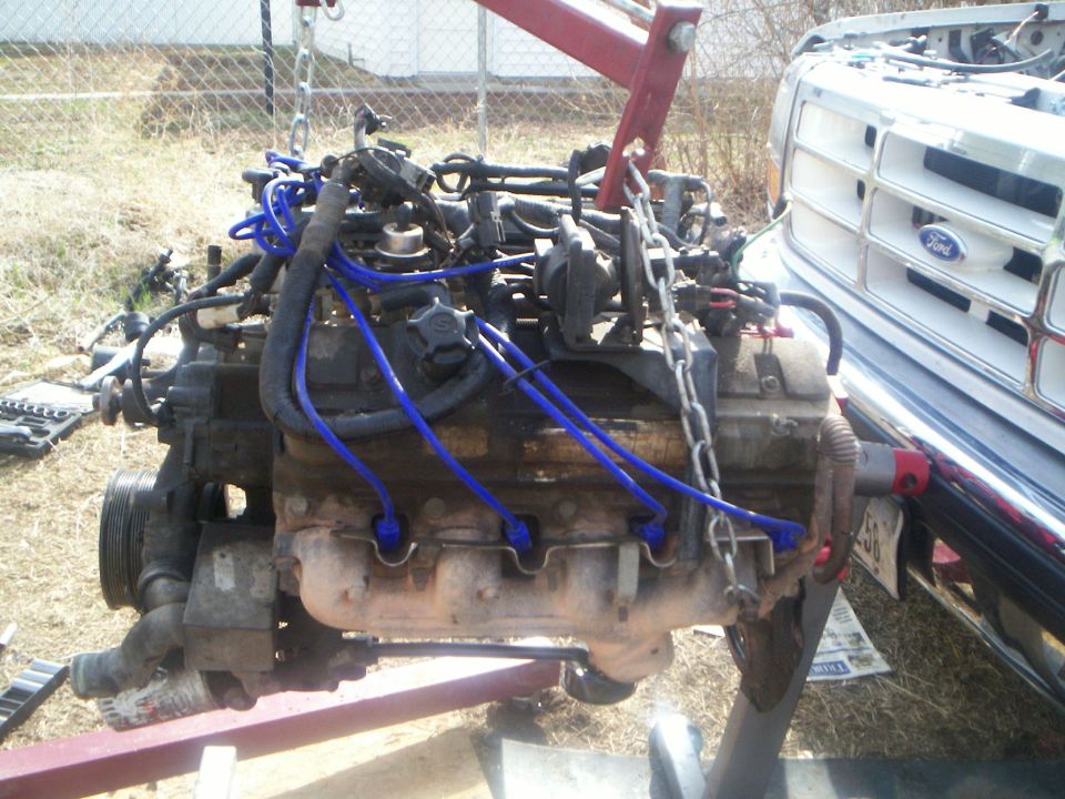 V8 engine with blue spark plug wires hanging from an engine hoist in front of a white Ford truck grille.