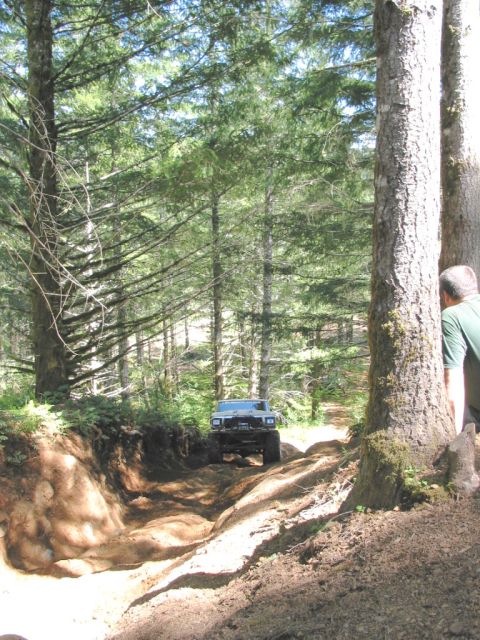 1995 Jeep Wrangler “the gutless wonder”