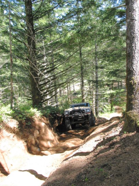 1995 Jeep Wrangler “the gutless wonder”