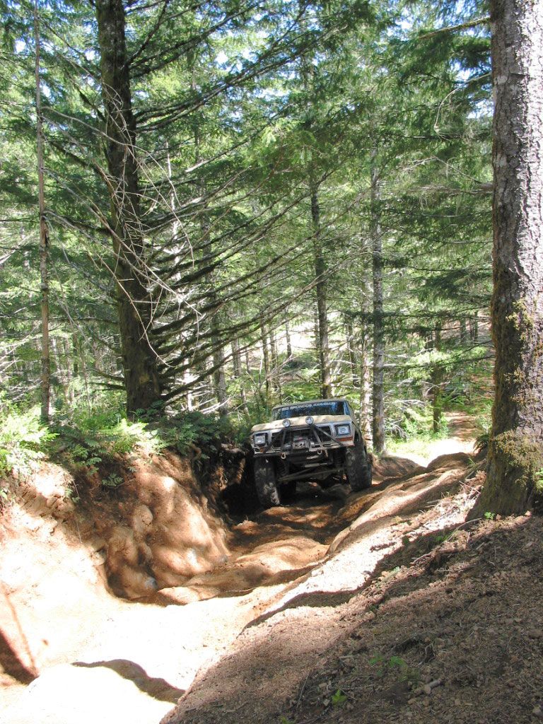 Off-road vehicle with large tires navigating a narrow dirt path in a forest. Aftermarket bumper visible