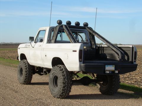 1978 Ford F-150 photo