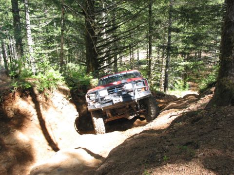 1995 Jeep Wrangler “the gutless wonder”