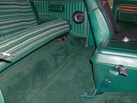 1978 Ford Bronco - Interior view of a 1978 Ford Bronco, showing the seats, carpet, and door panel.