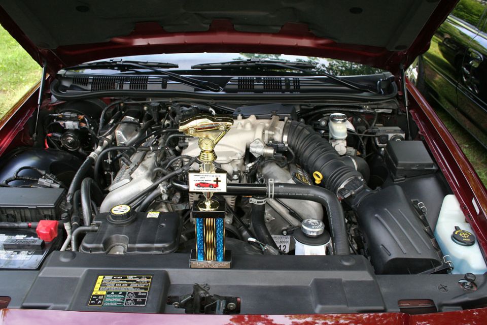 The following pics were taken by MM2004.
