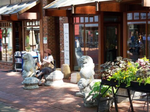 1971 Ford Ranchero - A brick pedestrian mall outside an antiques shop, where a person in a straw hat and vest sits between two large stone Chinese guardian lion…
