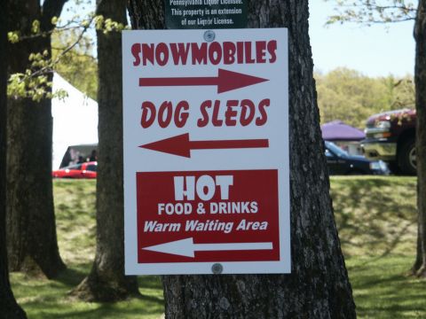 2001 Mercury Grand Marquis - A sign on a tree indicates directions for a treasure hunt and dog sleep area.