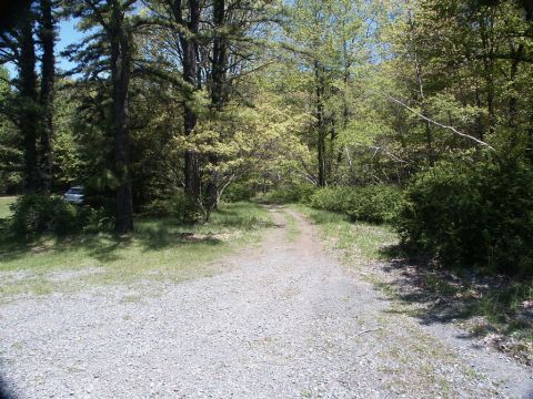 2001 Mercury Grand Marquis - A silver sedan is parked on a gravel driveway surrounded by trees and greenery.