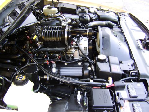 1996 Mercury Grand Marquis - Engine bay a supercharger and various hoses and components. A yellow-capped reservoir is visible on the left.