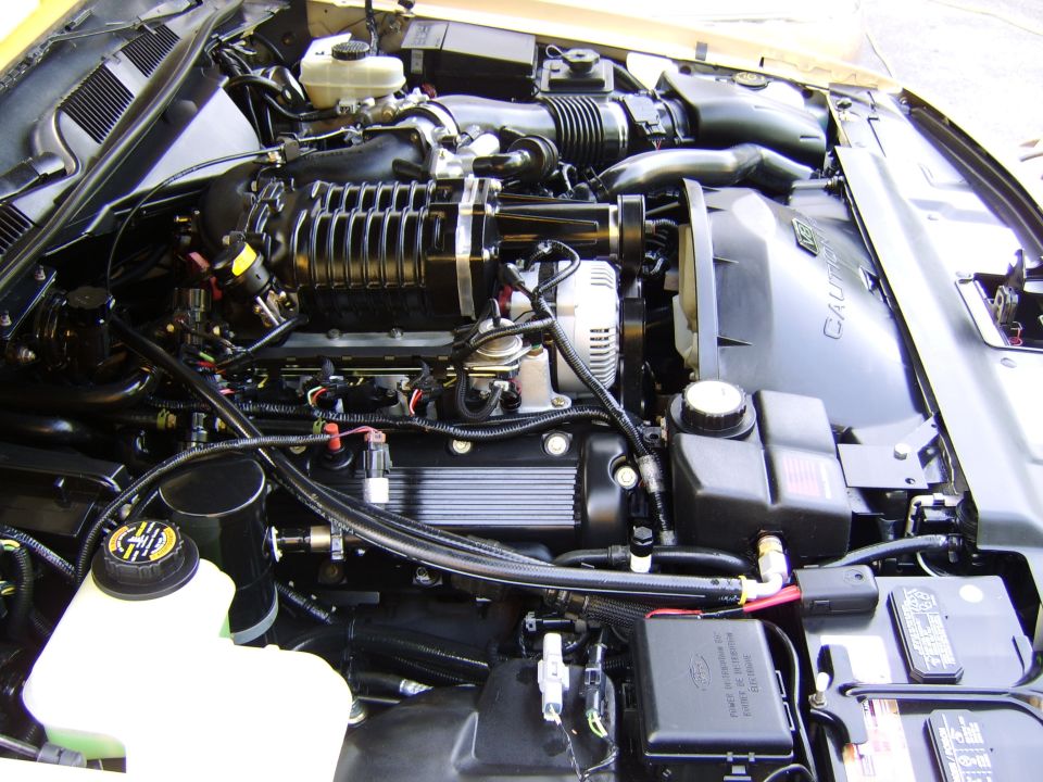 Engine bay with black supercharger, alternator and braided hoses