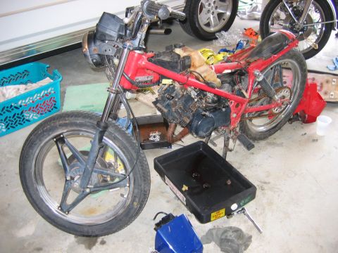1985 Ford LTD Crown Victoria - A red motorcycle is disassembled in a garage, with parts and tools scattered around.