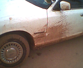 1995 Ford Crown Victoria - This 1995 Ford Crown Victoria is covered in mud, obscuring its original paint.