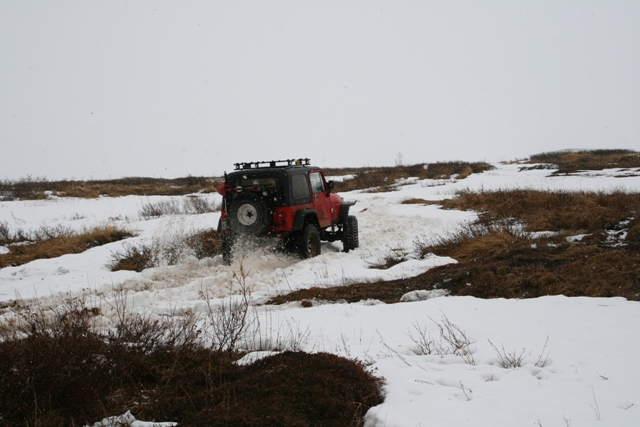 playing in the snow