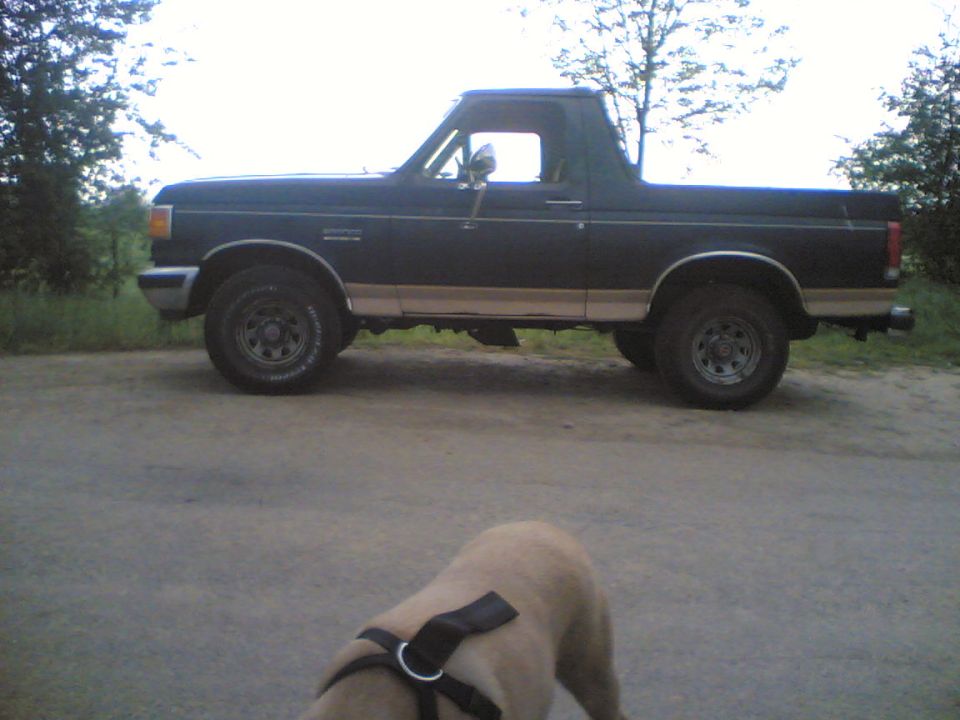 Dark blue Ford Bronco parked on a dirt road, rear passenger side view.