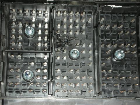 1998 Ford Crown Victoria - Inside view of a black fuse box housing with several metal studs and burnt residue between socket banks.