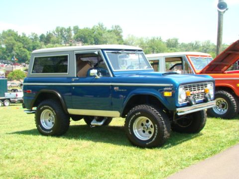 1994 Ford Bronco - A blue 1978 Ford Bronco is parked on a grassy field next to another vehicle.