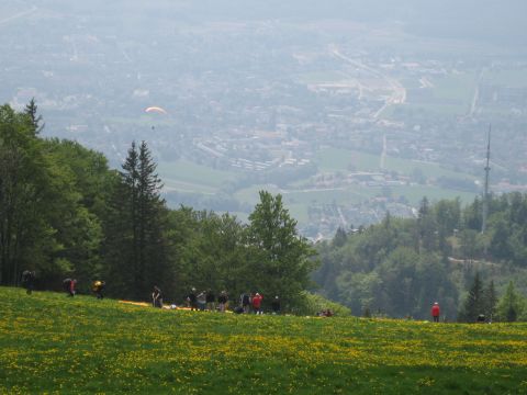 1996 Ford Bronco - People gather on a flower-covered hill, with paragliders in the air above a distant, hazy town.