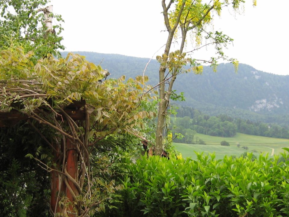 Overgrown pergola and lush green bushes with a rolling hillside and distant mountains in the background