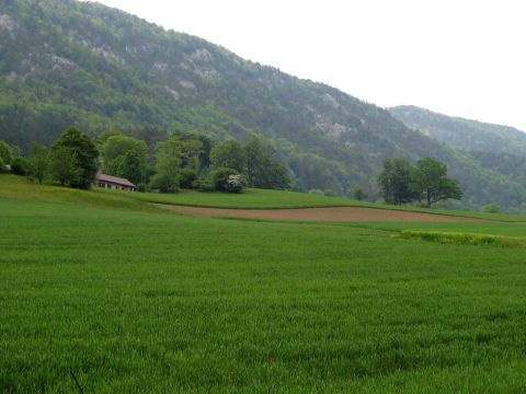 1996 Ford Bronco - A pastoral scene in the Swiss countryside features rolling green fields and a distant house.