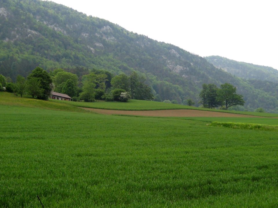 Green fields and a house at the base of a forested mountain