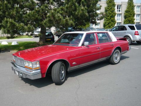 1991 Ford Crown Victoria - Mimosa 1