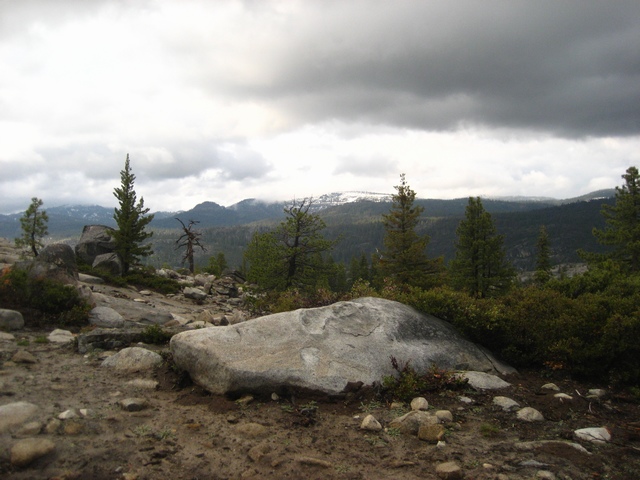 Granite boulder and pines on a rocky high-country trail under overcast skies