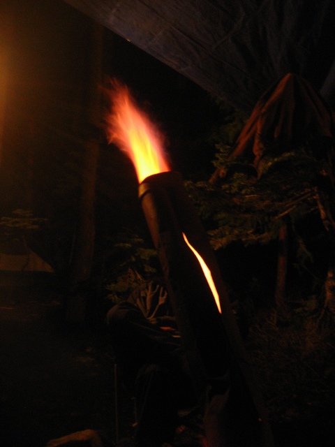 1989 Ford Bronco - An exhaust pipe is shown emitting a large flame at night, with trees and structures visible in the dark background.