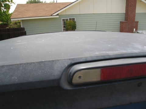 1986 Ford Bronco - The rear of a dark-colored vehicle is shown, featuring a red and clear third brake light assembly. A house with a brown roof and light gree…