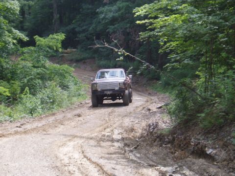 1980 Ford Bronco - A truck navigates a muddy, wooded path, kicking up dirt as it goes.