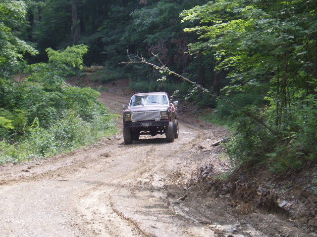 Brown Ford F-Series truck driving on a dirt road through trees. License plate is visible