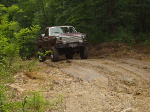 1980 Ford Bronco - This 1980 Ford Bronco navigates a challenging dirt path through a forest.