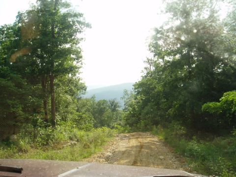 1980 Ford Bronco - Driving on a rough dirt road surrounded by lush green forest and distant hills.