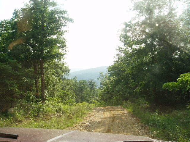 Dirt road winding through dense green trees with hills in the distance