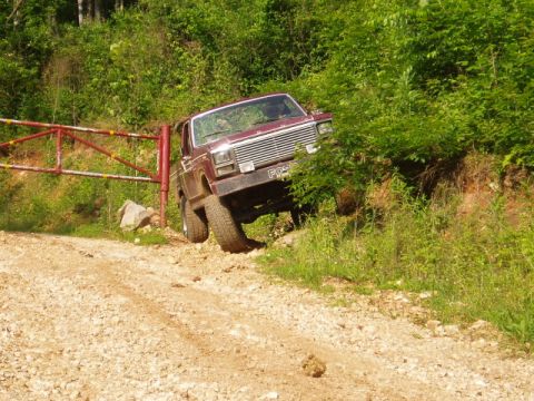 1980 Ford Bronco - This maroon SUV is partially off-road, with its front wheels on a dirt path and its body angled towards the vegetation.